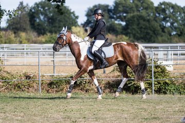 Bild 181 - Pony Akademie Turnier